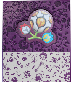 EURO 2012 Poland-Ukraine Binder – INT. Edition | Hobby Sapiens - back
