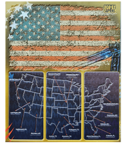 Copa America USA 2024 Binder – Gold Edition | Hobby Sapiens - back